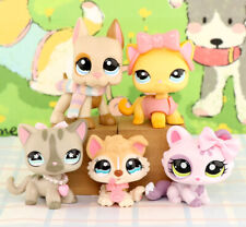 5PCS Pet Shop LPS Dogs and Cats Collectable with Accessories Who Love LPS Rare