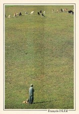 26 DOMAINE DU PAS DU VENTOUX TROUPEAU DE CHEVRES