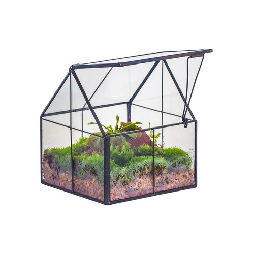Mini glass terrarium - mini,