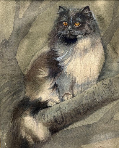 Attribué albert antoine - attribué, albert-antoine