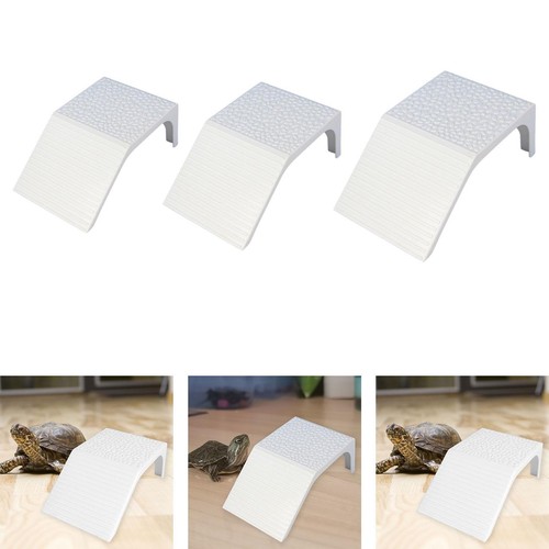 Rampe pour tortues
