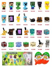 MINECRAFT Surprise de votre