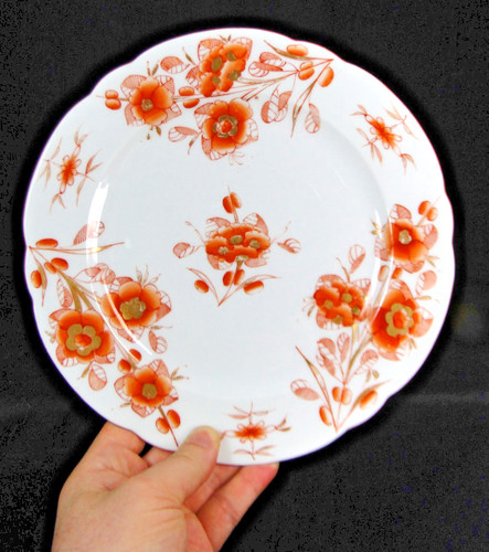 Superbe assiette porcelaine - en,
