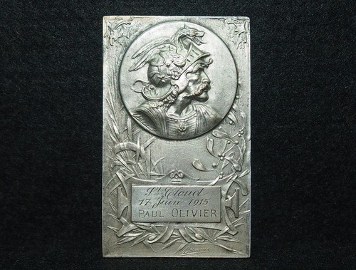 Plaque bronze argenté brennus - plaque,