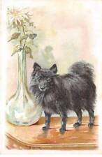 Animals - No. 90255 - Dog near flowers in a vase - Spitz