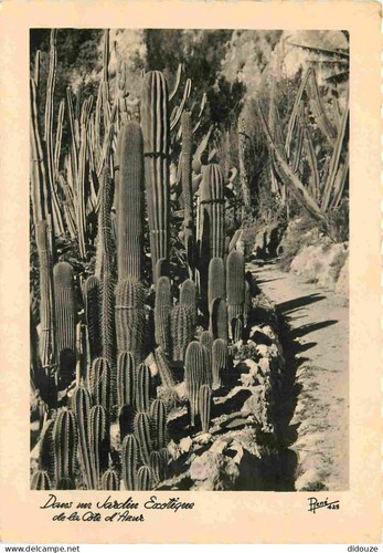 Carte postale fleurs - carte,