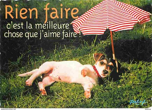 Carte postale animaux - carte,