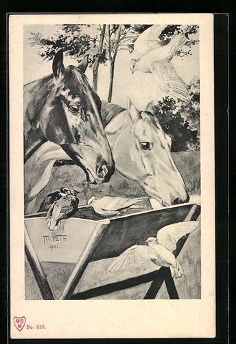Oiseaux mangeoire de - mangeoire,