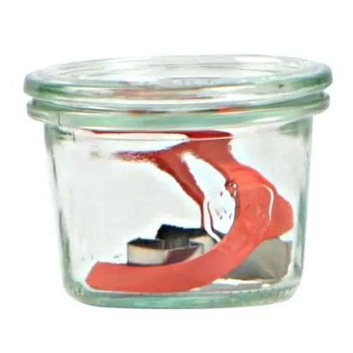 Pot weck verre avec couvercle - verre,