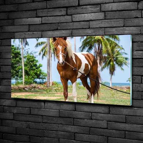 Tulup tableau sur verre - tableau,