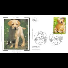 FDC soie - Jeunes animaux