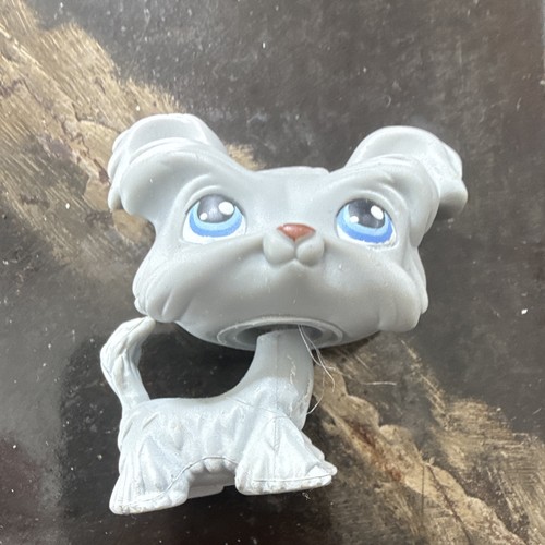 Hasbro littlest pet - hasbro, shop