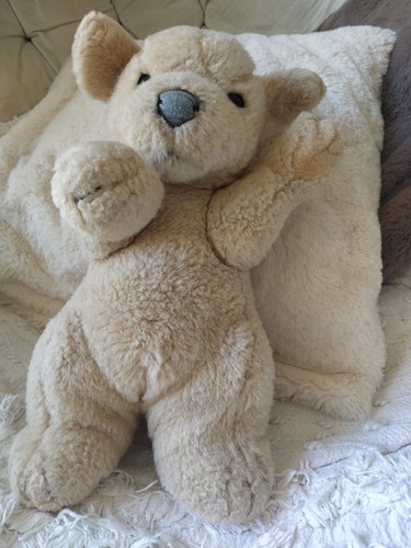 Doudou chien peluche beige - en,