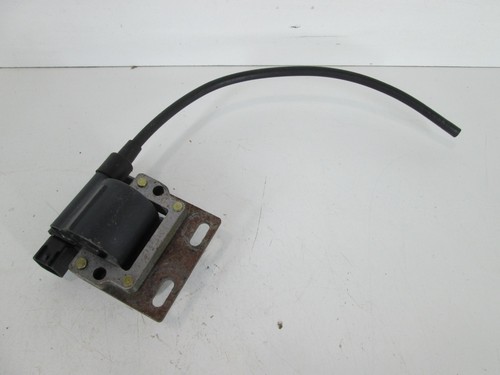 Rotax fr125 max - fr125, ignition