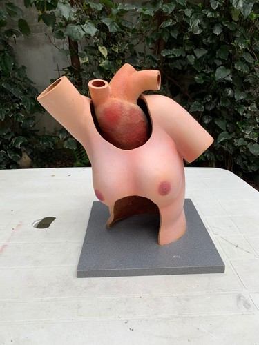 Ancien buste femme - femme, medical