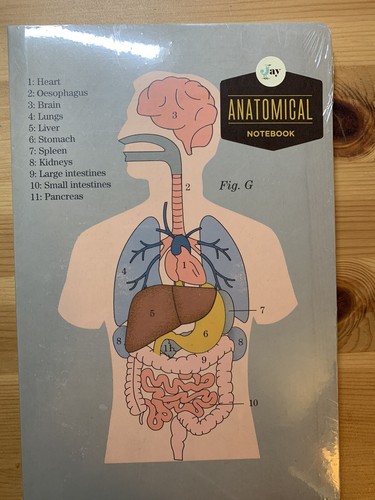 Anatomy notebook notepad - notebook,