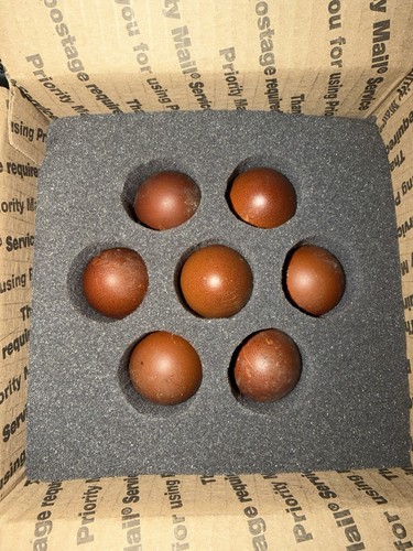 Npip pure black copper - pure,