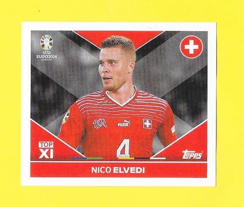 Vignette euro germany 2024 - germany,