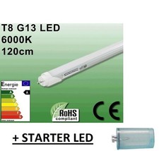 1 AMPOULE TUBE LED NEON 20W ULTRA BLANC 6000K - 120 CM + STARTER LED