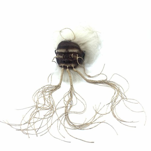 Shrunken head museum quality - head,