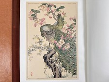 Livre d'oiseaux japonais