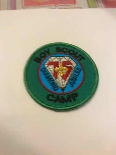 Boy scout diamond jubilee camp - boy,
