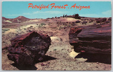 Petrified Forest National Park Arizona Vintage Postcard Old Faithful Tree