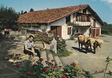 Carte postale postcard 10x15cm