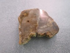 Madagascar Petrified Wood