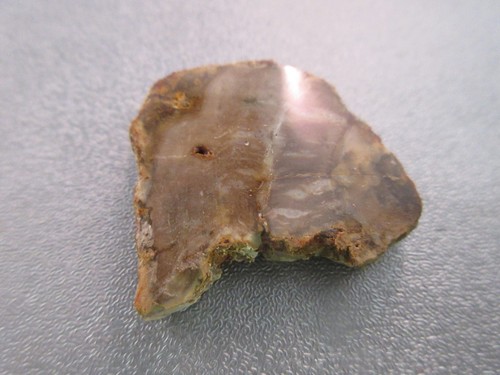 Madagascar petrified wood - petrified,