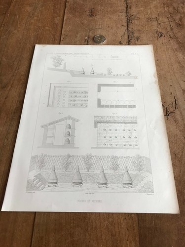 Gravure ancienne architecte - ancienne,