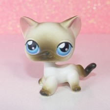 authentic littlest LPS PETSHOP #5 siamese cat chat european européen shorthair