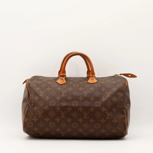 Sac main louis vuitton - main,