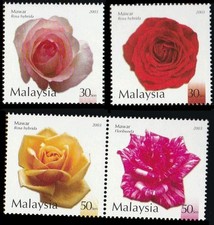 * LIVRAISON GRATUITE Malaysia Roses 2003 Plante Fleur Valentine Flora Love (t...