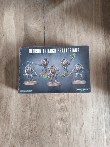 Necron triarch praetorians - triarch,