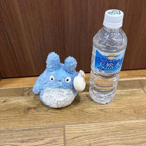 Neighbor totoro peluche - my, totoro,