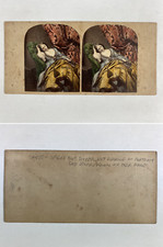 Thinking Woman in an Chair, Vintage Albumen Print, ca.1860, Stereo Print v