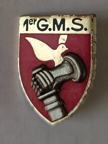 Insigne gms apt - 1°,