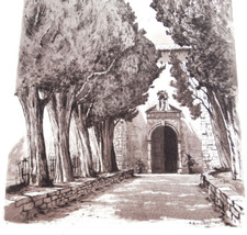 Les Cyprès de la Chapelle du