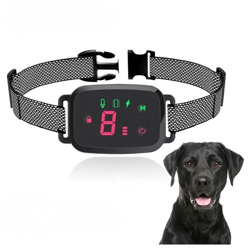 Collier anti aboiement chien - collier,