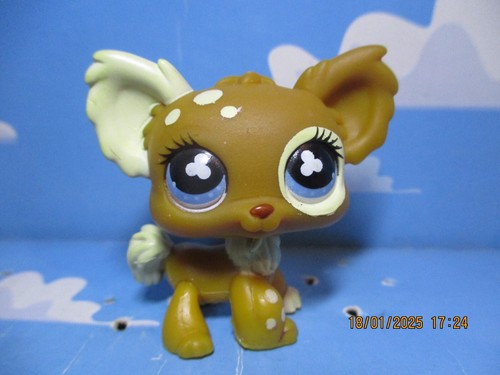 Petshop chien papillon 528 - petshop,