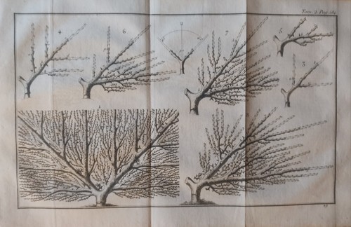 Gravure ancienne xviii - gravure,