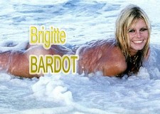 PHOTO -  Brigitte BARDOT  - 