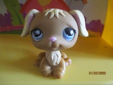 Petshop Chien Golden Retriever