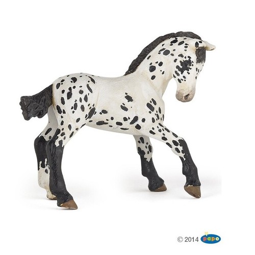Poulain appaloosa noir - , papo