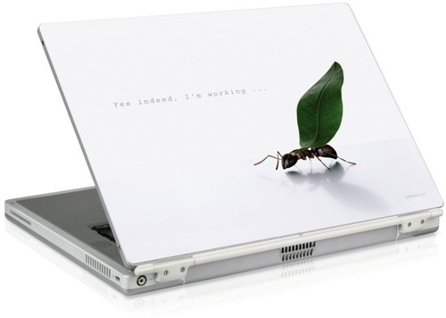 Notebook peau - peau, 11,6