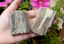 Lot 2 Bois Pétrifié - France