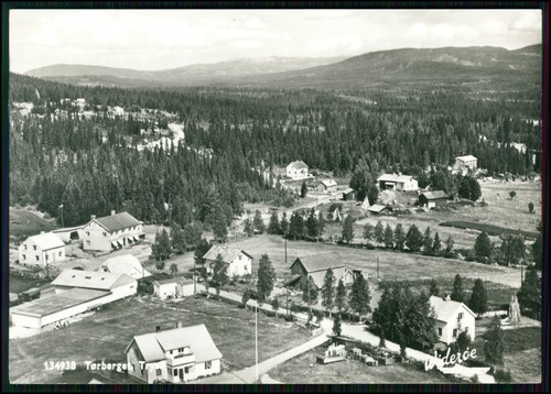Photo postcard trysil - photo,