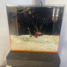 Deskmate Acrylic Nano Aquarium 4.8 Gallon by Eshopps
