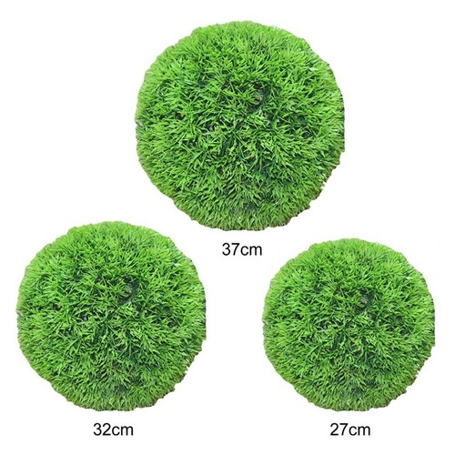 Arbustes boules topiaires - arbustes,
